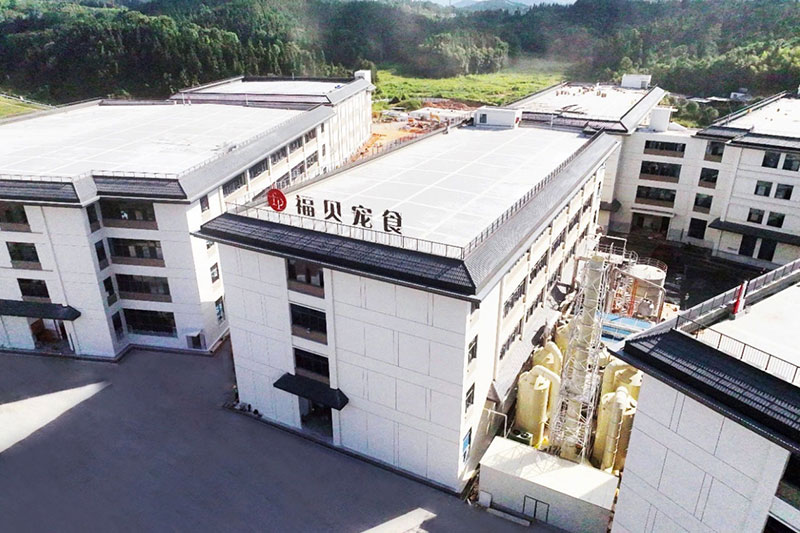 福貝內(nèi)修外練再落一子，聯(lián)合圣農(nóng)解決原材焦慮